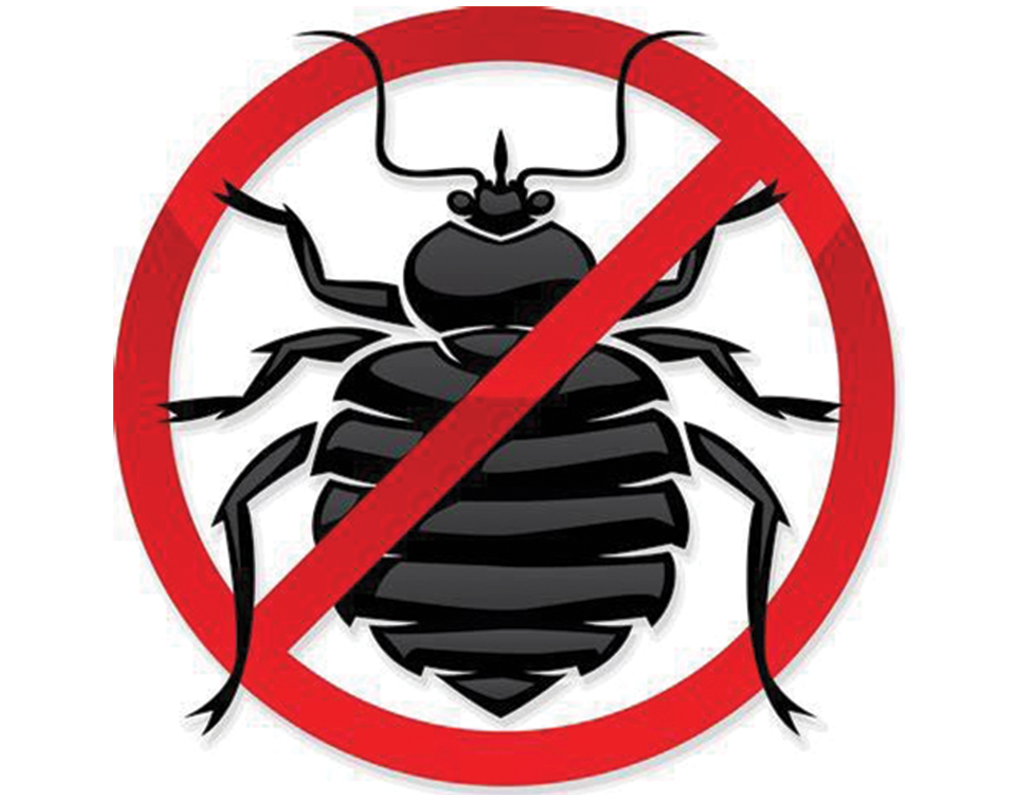 Bed bugs control